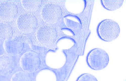 velcro maschio+femmina in rotolo RN adesivo, tenuta media tinta unita tondo  13 mm / 20 mm 918RN3U  Stampa Ricamo